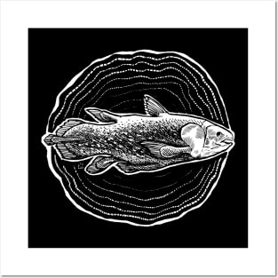 Coelacanth - The Living Fossil Posters and Art